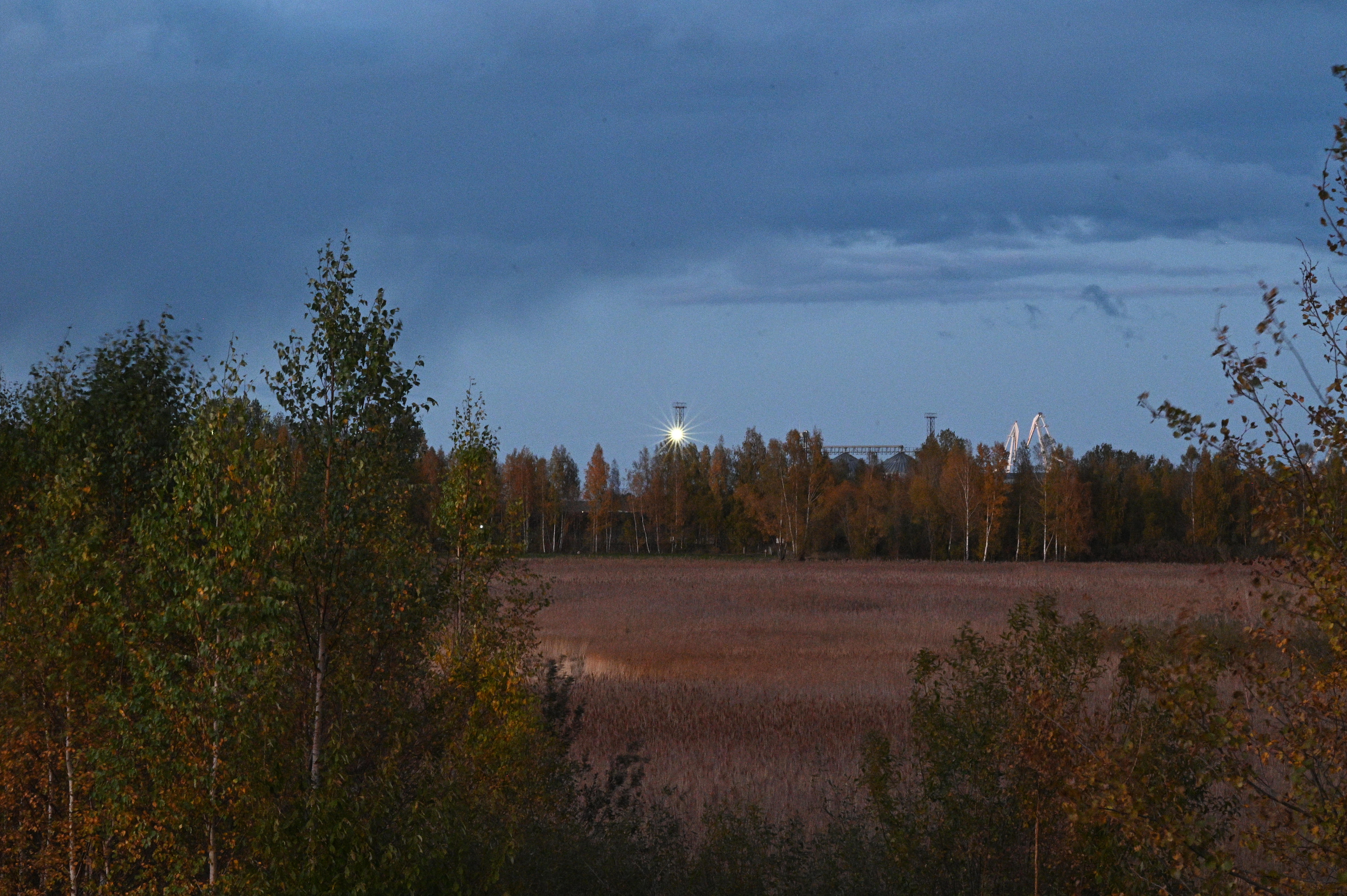 2025/10/18 - walk/DSC_0640.JPG